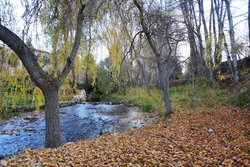 DSC_0078.JPG