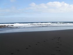 IMG_0096.jpg