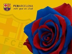 n_f_c_barcelona_fondos-1475270.jpg