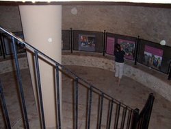foto62.jpg