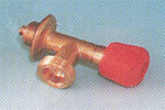 salidalibre2.jpg