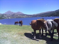vacançes 2011 014.jpg