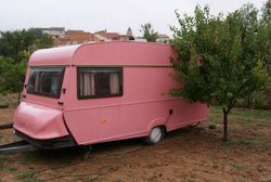 pink.jpg