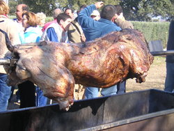 EL BICHO A MEDIO HACER.JPG