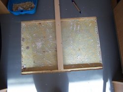 100_3141.jpg