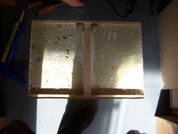 100_3143.jpg