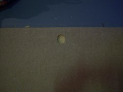 100_3153.jpg