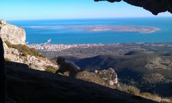 IMAG0225.jpg