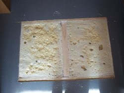 100_3155.jpg