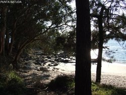 DSCF3200.jpg