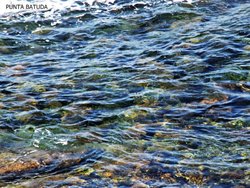 DSCF3211.jpg