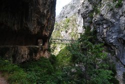 DSC_0708.jpg