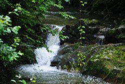 DSC_0633.jpg