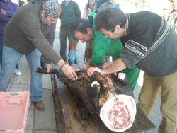 DSCN0018.JPG