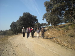 DSCN0351.jpg