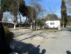 SAM_0369 (Medium).JPG