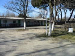 SAM_0371 (Medium).JPG