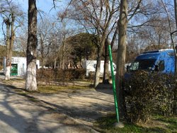 SAM_0372 (Medium).JPG