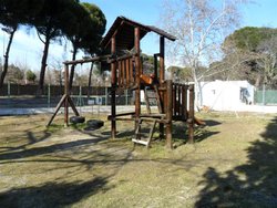 SAM_0375 (Medium).JPG