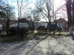 SAM_0377 (Medium).JPG