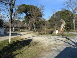 SAM_0378 (Medium).JPG