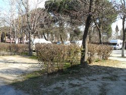 SAM_0379 (Medium).JPG