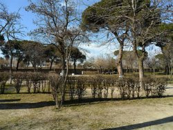SAM_0381 (Medium).JPG