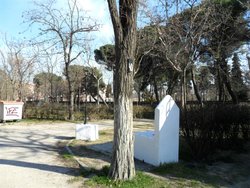 SAM_0382 (Medium).JPG