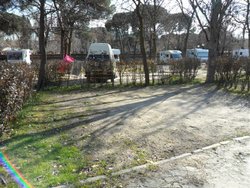 SAM_0384 (Medium).JPG