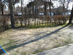 SAM_0385 (Medium).JPG