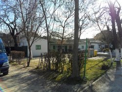 SAM_0387 (Medium).JPG