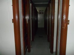 SAM_0391 (Medium).JPG