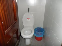 SAM_0392 (Medium).JPG