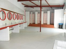 SAM_0393 (Medium).JPG