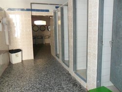 SAM_0404 (Medium).JPG