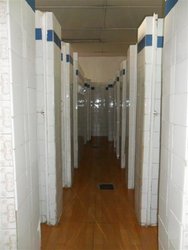 SAM_0406 (Medium).JPG