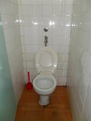 SAM_0407 (Medium).JPG