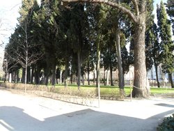 SAM_0413 (Medium).JPG
