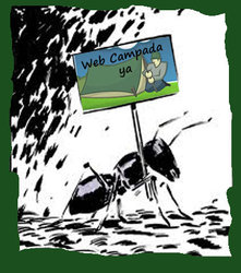 web campada.jpg