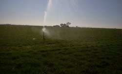 2012-03-11 10.42.02.jpg