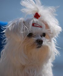 CAMPING MARZO 2011 140.jpg