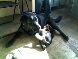 26012010037.jpg