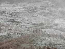 DSCN0370.jpg