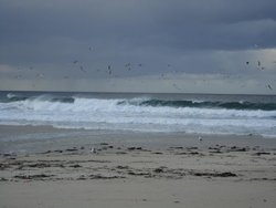 DSC01379.jpg
