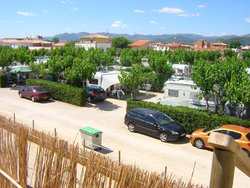Kiko Park 014.jpg
