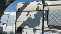 IMG_0785.jpg