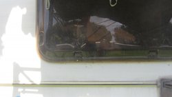 IMG_0786.jpg