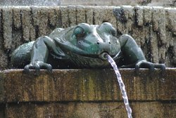 DSC_0011.jpg