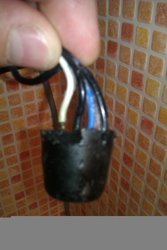 IMAG0123.jpg