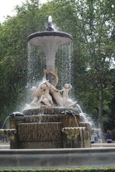 DSC_0007.jpg